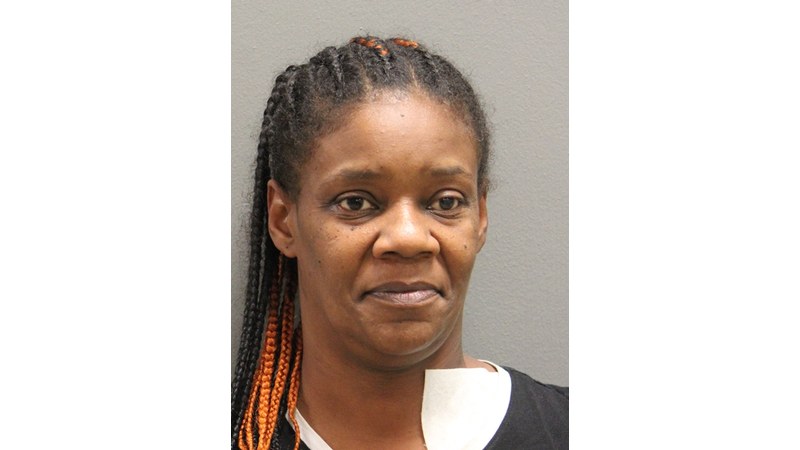 Booking photo for Cindy M Irons