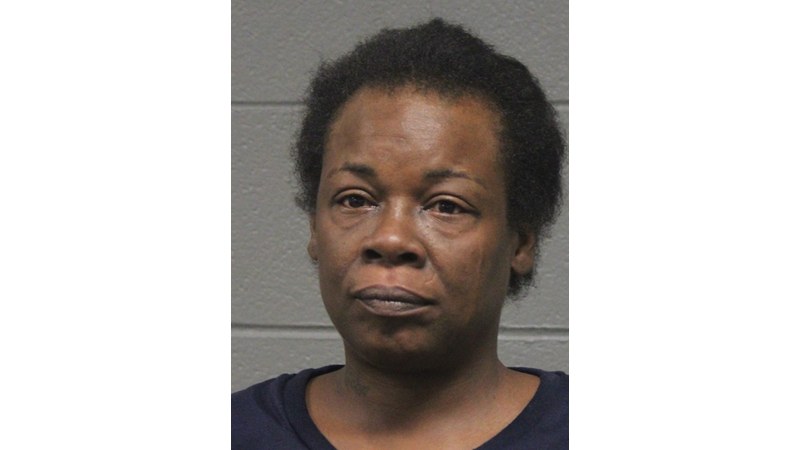 Booking photo for Jaketa N Williams